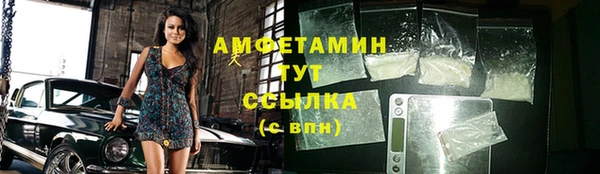 мет Алексин
