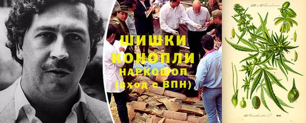 мет Алексин